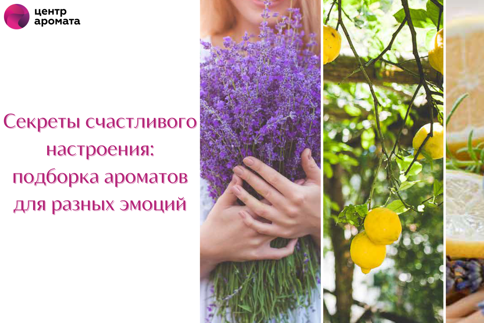 Дайте волю чувствам: ароматы для создания настроения в вашем доме Дайте волю чувствам: ароматы для создания настроения в вашем доме